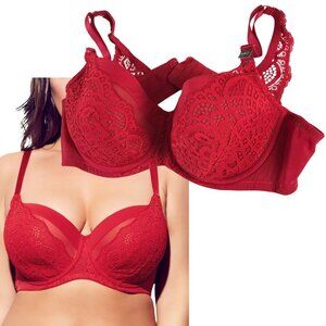 City Chic Plus Size Underwire Red Lace Bra 44C